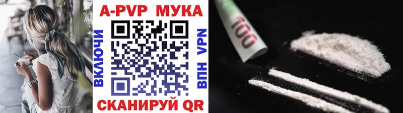 kraken ССЫЛКА  Обь  APVP крисы CK 
