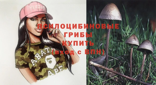 MDMA Богданович