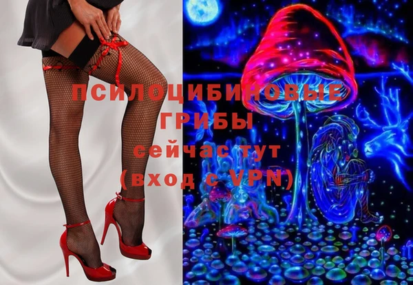 mdpv Белокуриха